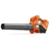 Husqvarna Accu Bladblazer 120iB Basic -Husqvarna Verkoopwinkel 16582 0 800x800 1
