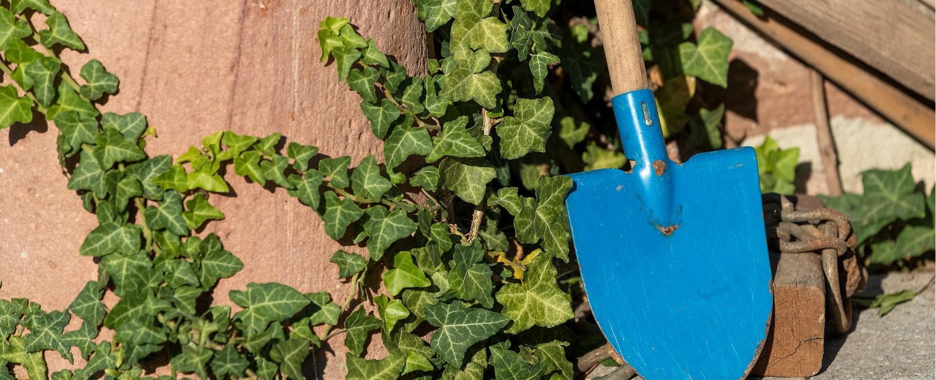 Husqvarna Verkoopwinkel -Husqvarna Verkoopwinkel garden 7429547 1920